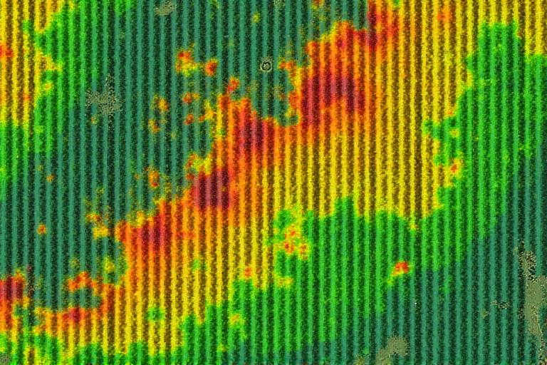 농작물 생육 상태를 보여주는 위성 이미지 맵